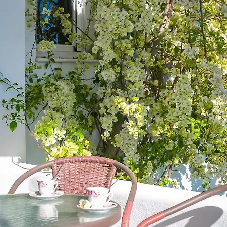 Dahlia And Nocleg ze śniadaniem 4*