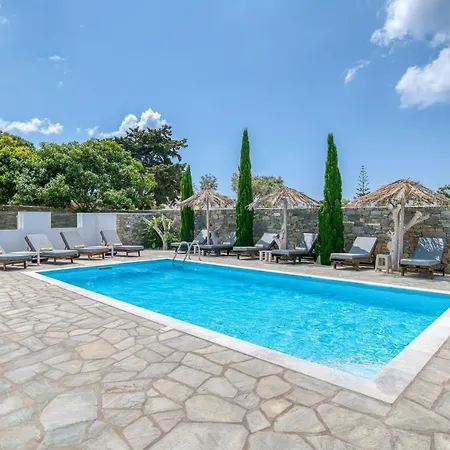 Dahlia And 4* Alikí