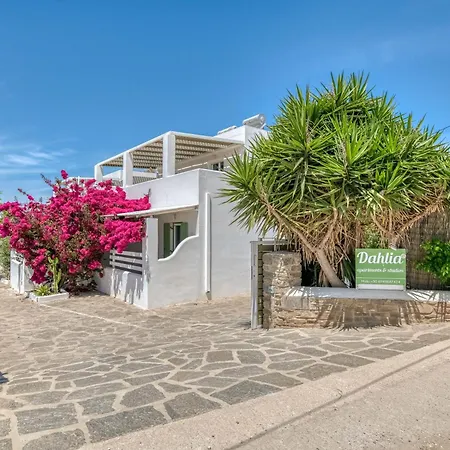 Dahlia And Frühstückspension