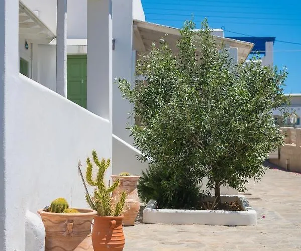 Bed & Breakfast Dahlia And 4*