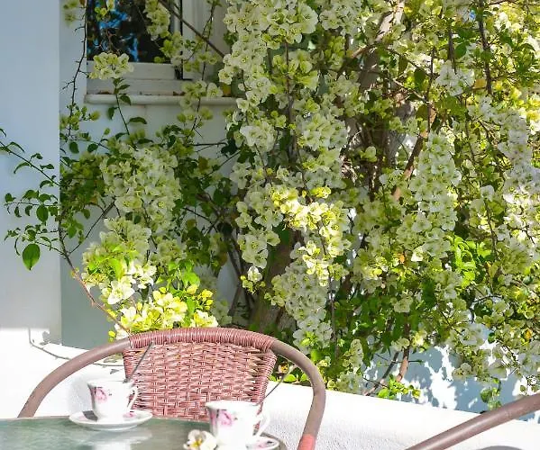 Dahlia And Bed & Breakfast 4*