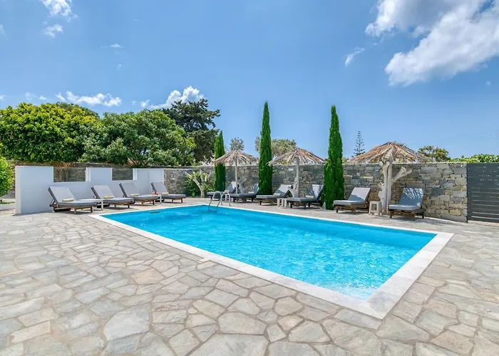 Dahlia And 4* Aliki (Paros)